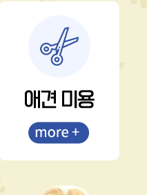 펫마켓 서구점 애견미용