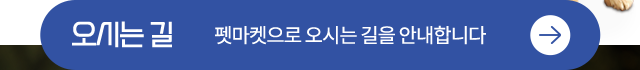 펫마켓 서구점 오시는길
